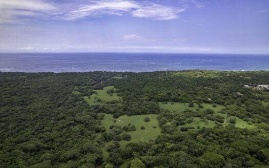 12 Acre Private Estate with Water