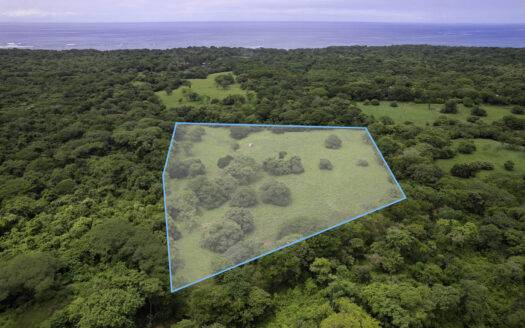 12 Acre Private Estate with Water