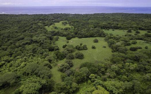 12 Acre Private Estate with Water