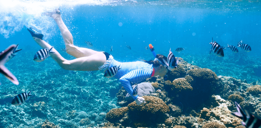 A woman in a blue wetsuit swims gracefully in the ocean, surrounded by clear blue water and sunlight.