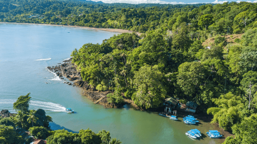 Aerial view of a serene bay dotted with boats, surrounded by lush green trees under a clear blue sky.