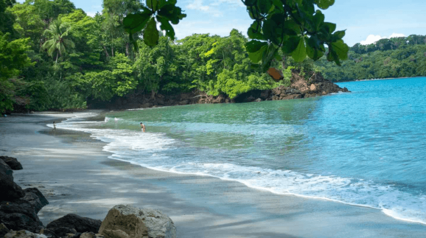 A serene beach scene featuring clear blue water and lush green trees lining the shore.