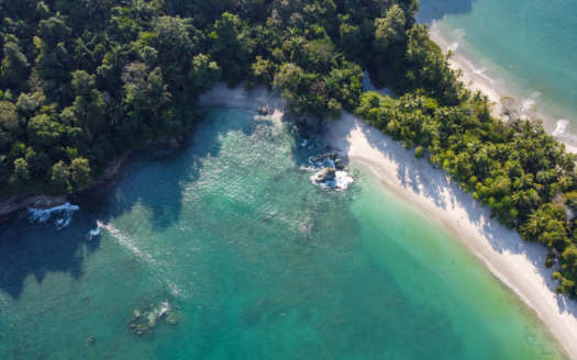 Aerial view showcasing a serene beach bordered by a lush, green forest, highlighting the beauty of nature's contrast.