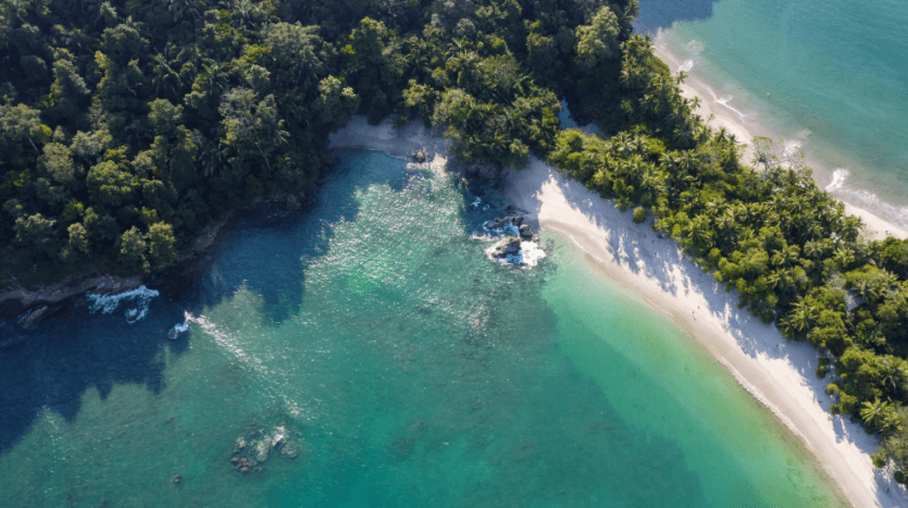 Aerial view showcasing a serene beach bordered by a lush, green forest, highlighting the beauty of nature's contrast.