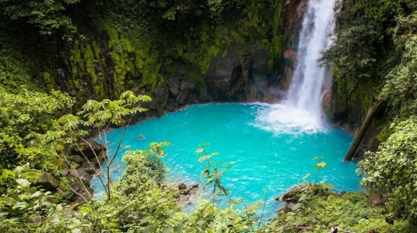 A stunning view of Rio Celeste Waterfall cascading through the lush jungle of Costa Rica, surrounded by vibrant greenery.