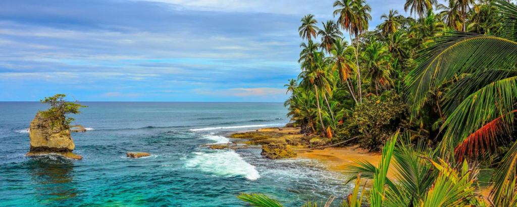 A serene tropical beach featuring palm trees and a rugged rocky shoreline under a clear blue sky.