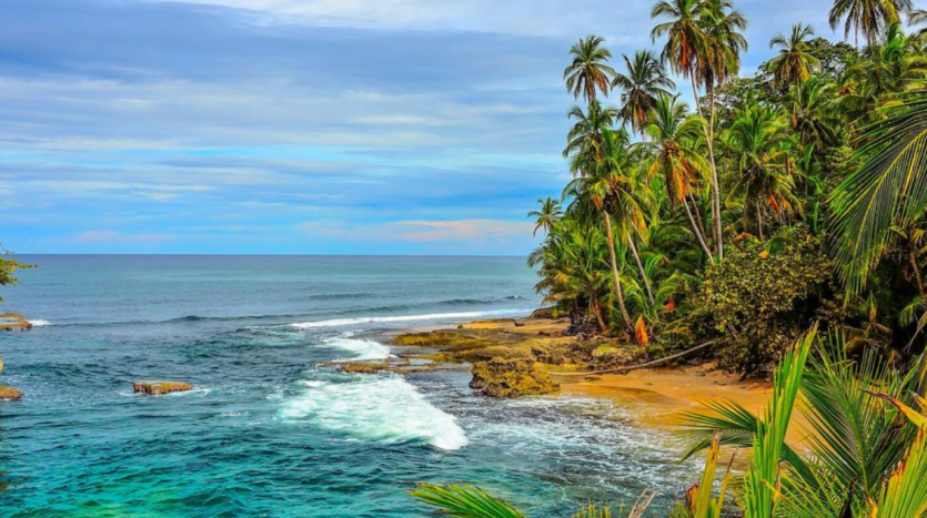 A serene tropical beach featuring palm trees and a rugged rocky shoreline under a clear blue sky.