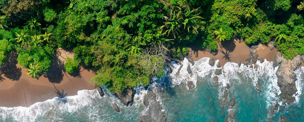 Aerial view showcasing a serene beach bordered by a lush green forest, highlighting the natural beauty of the landscape.