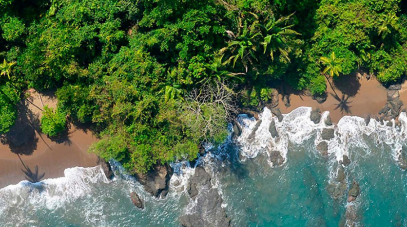 Aerial view showcasing a serene beach bordered by a lush green forest, highlighting the natural beauty of the landscape.