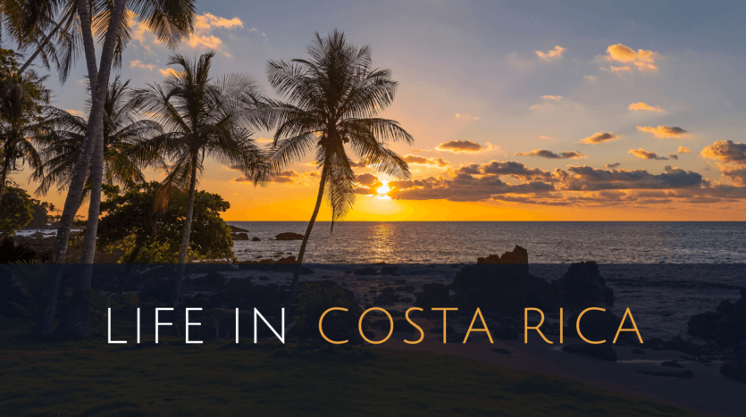A vibrant scene showcasing the lush landscapes and diverse wildlife of Costa Rica, highlighting its rich natural beauty.