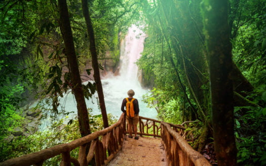 A man strolls along a wooden path leading to a serene waterfall, surrounded by lush greenery.