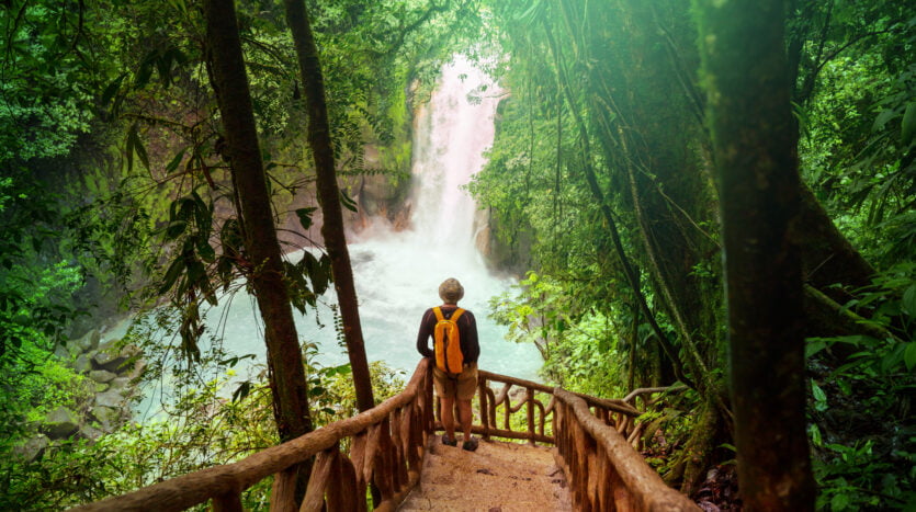 A man strolls along a wooden path leading to a serene waterfall, surrounded by lush greenery.