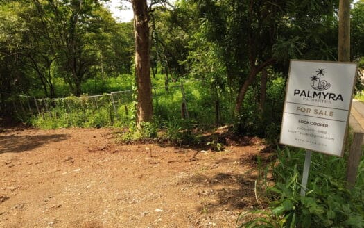 Prime Location Building Lot, Playa Avellanas