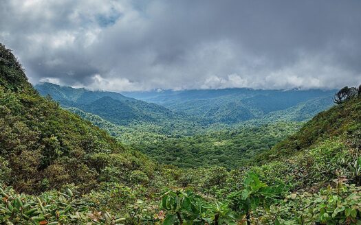 Is-costa-rica-a-good-time-to-go-in-june