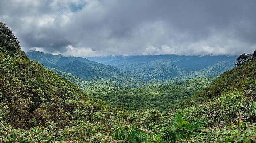 Is-costa-rica-a-good-time-to-go-in-june