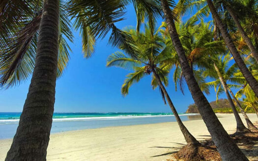 costa-rica-weather-in-august