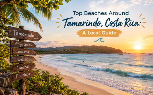 beaches near Tamarindo Costa Rica